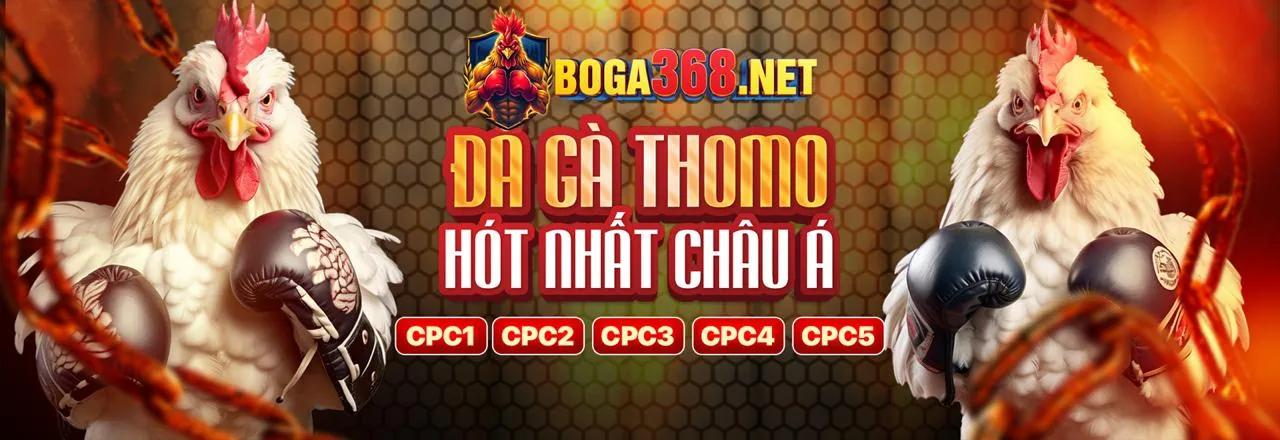Đá gà trực tiếp TG88 link mới 2026